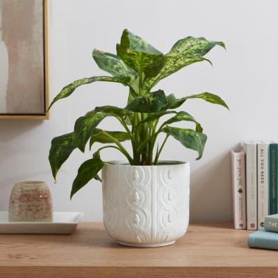Dunelm Embossed Knitted Texture Plant Pot