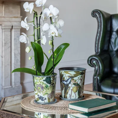 Dunelm Kew Botanical Retreat Planter With Saucer