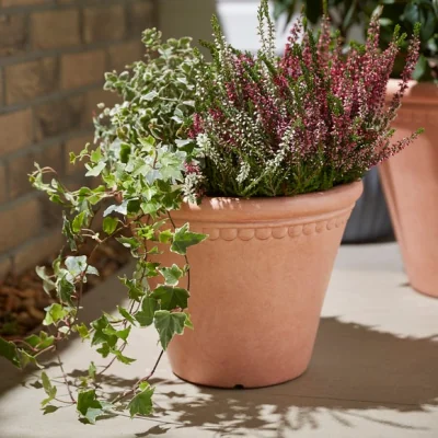 Dunelm Scalloped Edge Smooth Fibre Clay Plant Pot