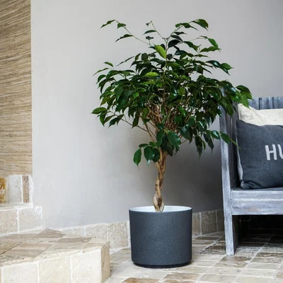 Dunelm Leon Plant Pot Granite