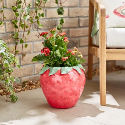 Dunelm Resin Strawberry Plant Pot