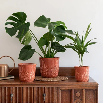 Dunelm Kew Embossed Fern Plant Pot Rust