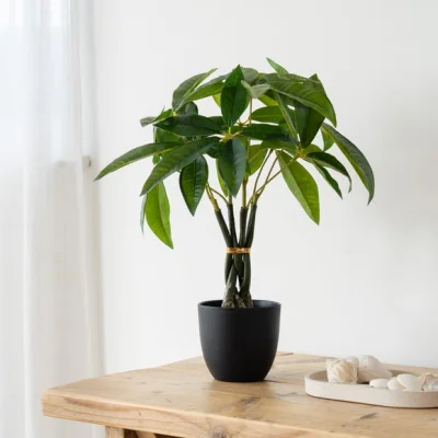 Dunelm Artificial Fortune Tree in Black Plant Pot