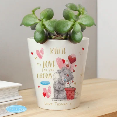 Dunelm Personalised Me To You Hold You Forever Plant Pot White