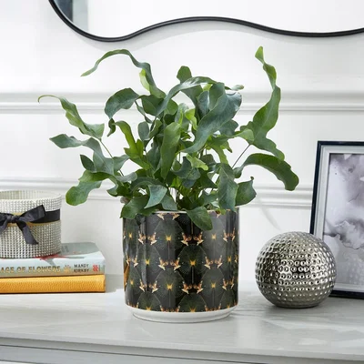 Dunelm Luxe Cranes Emerald Plant Pot Green