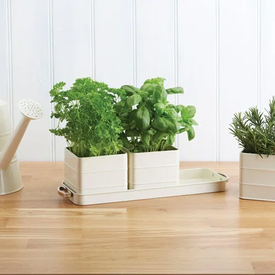 Dunelm Indoor Herb Garden Kit with Tray and 3 Plant Pots