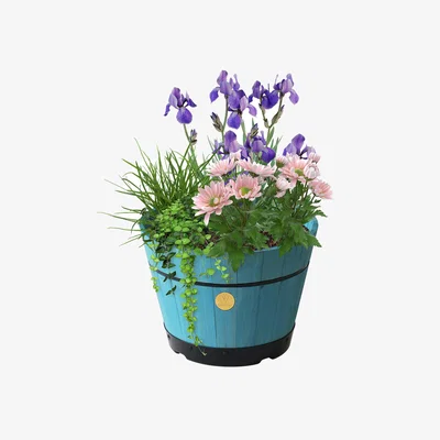 Dunelm VegTrug Medium Build a Barrel Kit Blue