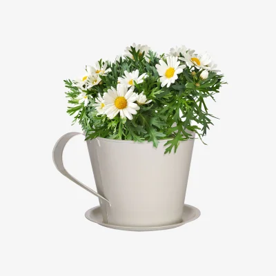 Dibor Personalised Cream Tea Cup Planter Gift