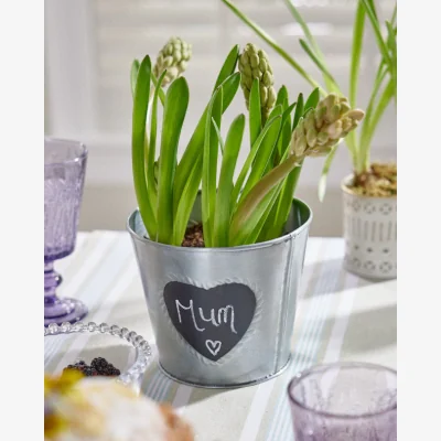 Dibor Vintage Zinc Heart Flower Planter