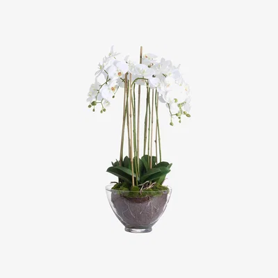 Furniture Village Large White Orchid Glass Pot