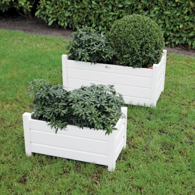 Furniture123 Fallen Fruits Set of 2 Cream Rectangular Planters