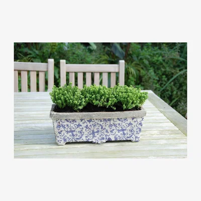 Furniture123 Fallen Fruits Ceramic Rectangular Planter