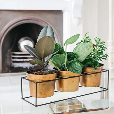 Graham & Green Set of Three Blue Gold Pots with Stand
