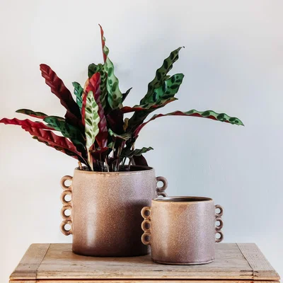 Graham & Green Small Looped Stone Plant Pot