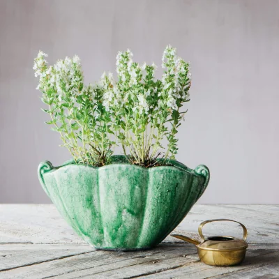 Graham & Green Graham and Green Green Shell Planter