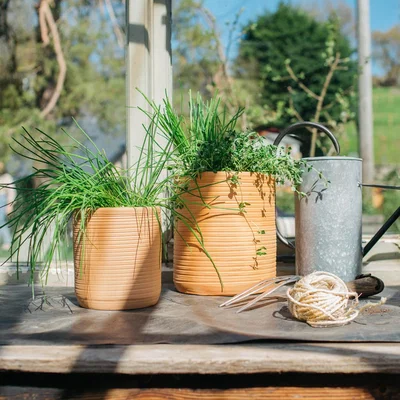 Graham & Green Graham and Green Small Terracotta Clay Plant Pot