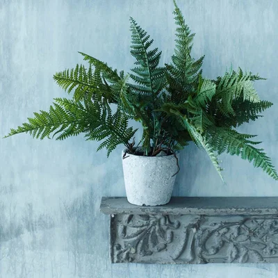 Graham & Green Faux Fern Grass in Pot