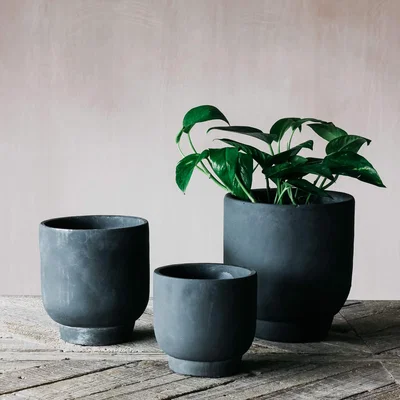Graham & Green Small Cement Planter
