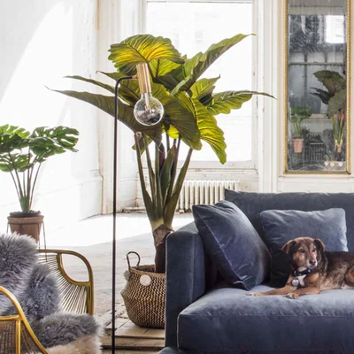 Graham & Green Faux Potted Banana Plant