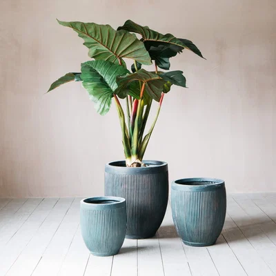 Graham & Green Set of Three Ribbed Planters