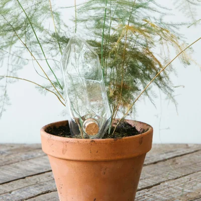 Graham & Green Plant Watering Crystal