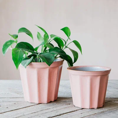Graham & Green Large Coral Ribbed Plant Pot