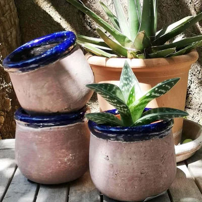 Graham & Green Blue Rustic Plant Pot