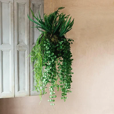 Graham & Green Faux Hanging Boston Fern