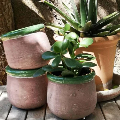 Graham & Green Green Rustic Plant Pot