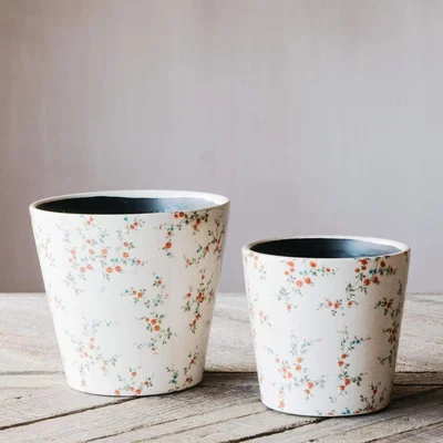 Graham & Green Set of Two Floral Poppy Plant Pots