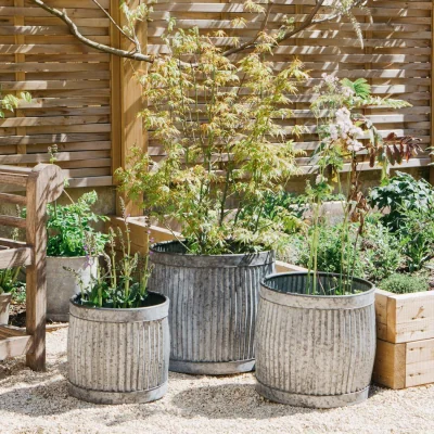 Graham & Green Set of Three Tall Dolly Tub Planters