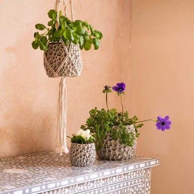 Graham & Green Graham and Green Medium Grey Shell Plant Pot