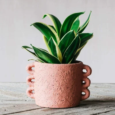Graham & Green Orange Looped Handle Plant Pot