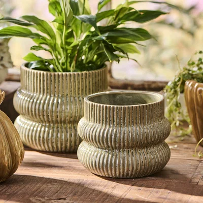 Graham & Green Graham and Green Small Distressed Green Fluted Plant Pot
