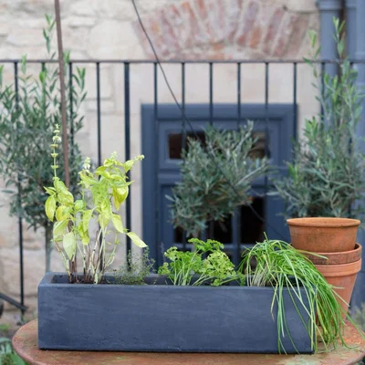 Graham & Green Graham and Green Grey Oblong Planter