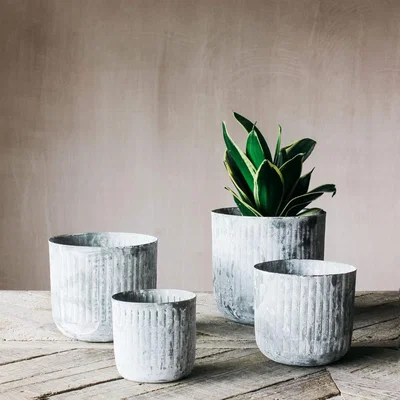 Graham & Green Set of Four Fenix Round Planters