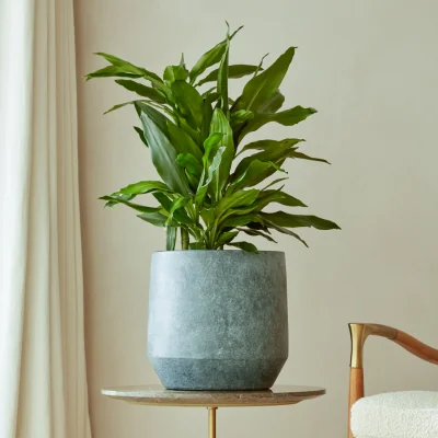 Gardenesque Leandro | Indoor Plant Pot Soft Anthracite
