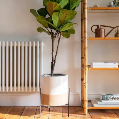 Gardenesque Farrer Speckle | Indoor Plant Pot & Stand