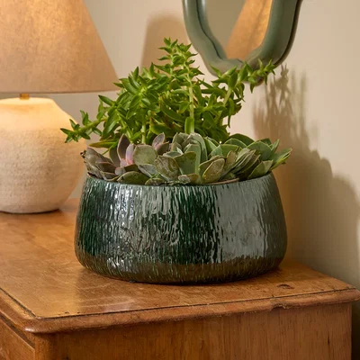 Gardenesque Ramada Low Bowl | Indoor Plant Pot Emerald