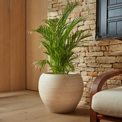 Gardenesque Amora | Indoor Plant Pot Off White