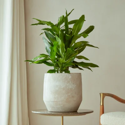 Gardenesque Leandro | Indoor Plant Pot Soft Sand