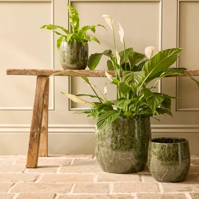 Gardenesque Neve Ceramic | Indoor Plant Pot