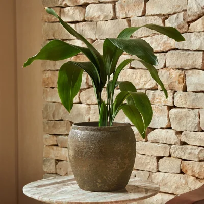 Gardenesque Julian Bronze | Indoor Plant Pot