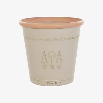 Habitat Terrastyle 33cm Plastic Brown Boxwood Pot