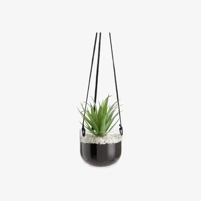 Habitat Habitat Faux Aloe in Hanging Glass Pot - Black