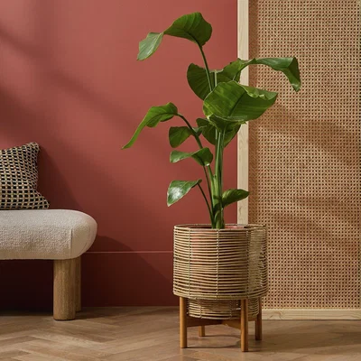 Habitat Habitat Large Woven Rattan Planter with Stand - Natural