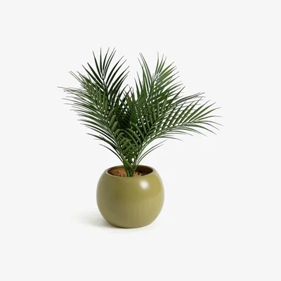Habitat Habitat Medium Faux Floral in Pot - Lime
