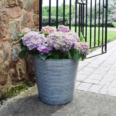 Habitat Ivyline 37cm Ribbed Galvanised Planter
