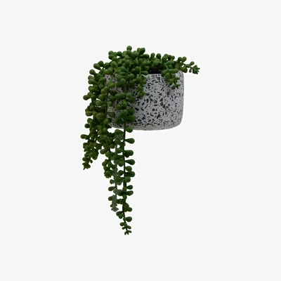 Habitat Argos Home Trailing House Plant in Terrazzo Pot
