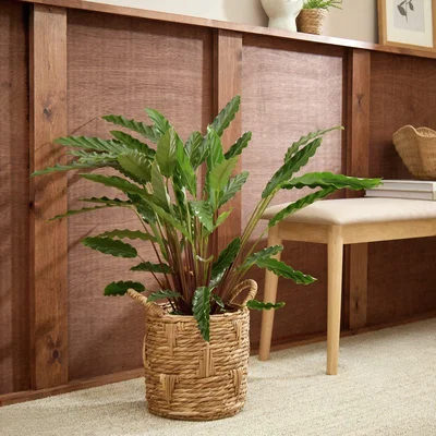 Habitat Habitat Large Rattan Handle Planter